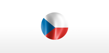 Чешский язык